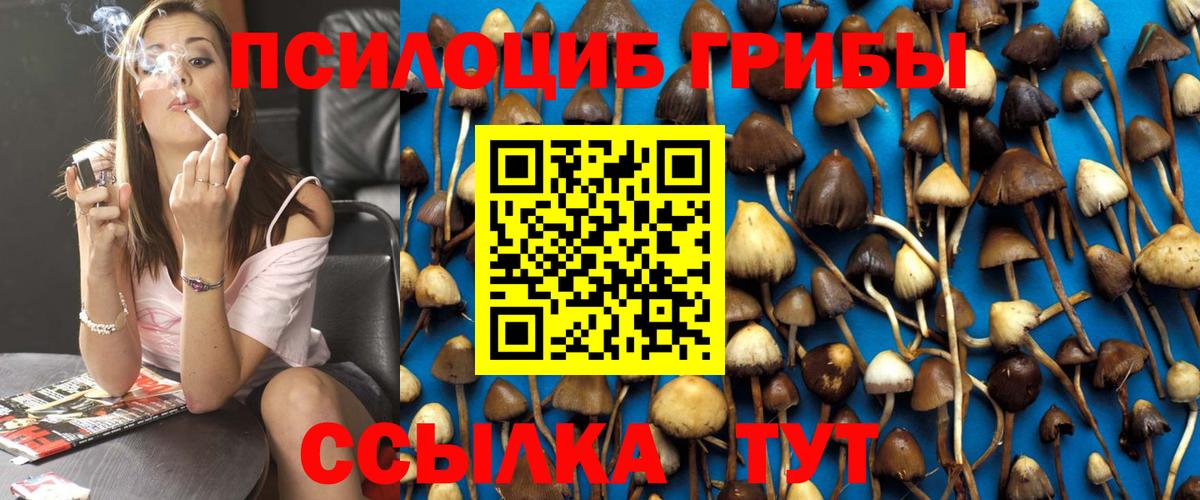 Удомля  Псилоцибиновые грибы Magic Shrooms  Вход с VPN 